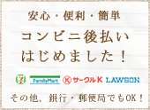 �¿�����������ñ�ʥ���ӥ˸�ʧ���Ϥ���ޤ�����