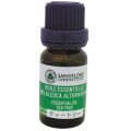 ���Υե����� �ƥ����ȥ꡼ 10ml	��	��	4009	��