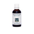���ѥ���å� ���������ǽ���ƥ�����ˡ�50ml�����롼��	��	��	800419	��