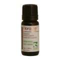�ǥ��ե塼�����ѥ����롡���������å��С��٥ʡ�10ml���ե������	��	��	800475	��