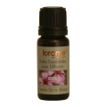 �ǥ��ե塼�����ѥ����롡���ǥ�10ml���ե������	��	��	800477	��