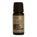 �ǥ��ե塼�����ѥ����롡��饯���󥰡�10ml���ե������	��	��	800495	��