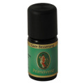 ������ǥ��� 5ml���ץ�ޥ饤��	��	��	800745	��