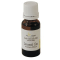 �����������ե����� 15ml����������������	��	��	3851	��