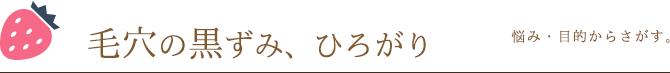 悩み・目的から探す。毛穴の黒ずみ、ひろがり