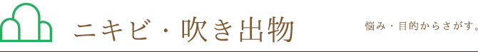 悩み・目的から探す。ニキビ・吹き出物