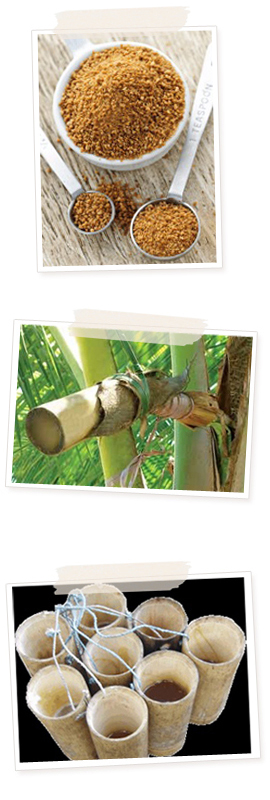 ココナッツオイルの中身と瓶