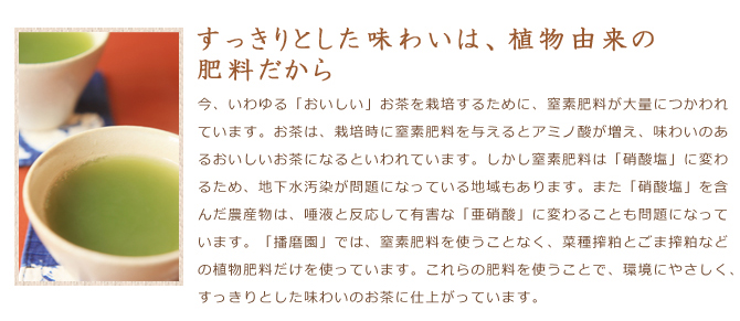 【すっきりとした味わいは、植物由来の肥料だから】今、いわゆる「おいしい」お茶を栽培するために、窒素肥料が大量につかわれています。お茶は、栽培時に窒素肥料を与えるとアミノ酸が増え、味わいのあるおいしいお茶になるといわれています。しかし窒素肥料は「硝酸塩」にかわるため、地下水汚染が問題になっている地域もあります。また「硝酸塩」を含んだ農作物は、唾液と反応して有害な「亜硫酸」に変わることも問題になっています。「播磨園」では、窒素肥料を使うことなく、菜種搾粕とごま搾粕などの植物肥料だけを使っています。これらの肥料を使うことで、環境に優しく、すっきりとした味わいのお茶に仕上がっています。