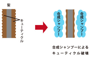 合成シャンプーによるキューティクル破壊