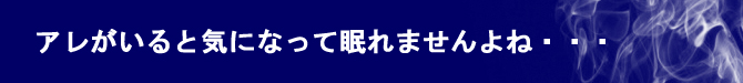 アレがいるときになって眠れませんよね&hellip;