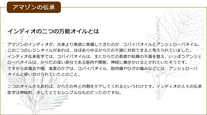 インディオの二つの万能オイルとは

アマゾンのインディオが、古来より家庭に常備してきたのが、コパイパオイルとアンジェローバオイル。この二つのレジンオイルがあれば、ほぼあらゆるからだの不調に対処できると考えられていました。
インディオ伝承医学では、コパイパオイルは、主にからだの表面や粘膜の不調を整え、いっぽうアンジェローバオイルは、からだの深い部分である筋肉や関節、神経に働きかけるとされていたそうです。
ですから皮膚炎や傷、歯茎のケアは、コパイパオイル、筋肉痛やひざの痛みなどには、アンジェローバオイルと使い分けられていたとのこと。二つのオイルさえあれば、からだの外と内側をケアしてくれるというわけです。インディオの人々の伝承医学は、とても神秘的、そしてとてもシンプルなものだったのですね
