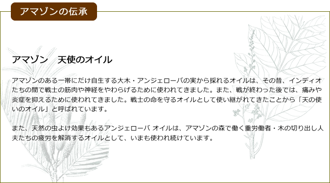 アマゾン 天使のオイル
アマゾンのある一帯にだけ自生する大木・アンジェローバの実から採れるオイルは、その昔、インディオたちの間で戦士の筋肉や神経をやわらげるために使われてきました。また、戦が終わった後では、痛みや炎症を抑えるために使われてきました。戦士の命を守るオイルとして使い継がれてきたことから「天の使いのオイル」と呼ばれています。また、天然の虫よけ効果もあるアンジェローバ オイルは、アマゾンの森で働く重労働者・木の切り出し人夫たちの疲労を解消するオイルとして、いまも使われ続けています。

