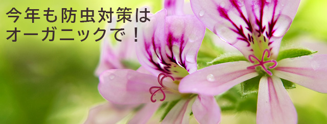 今年も防虫対策はオーガニックで！