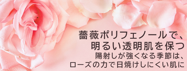 薔薇ポリフェノールで、明るい透明肌を保つ　陽射しが強くなる季節は、ローズの力で日焼けしにくい肌に