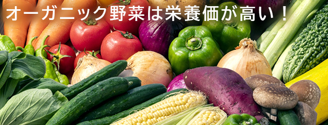 オーガニック野菜は栄養価が高い！