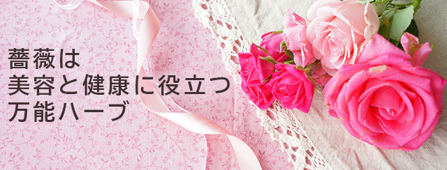 薔薇は美容と健康に役立つ万能ハーブ