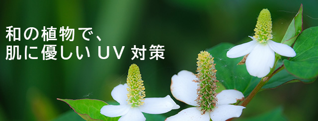 和の植物で、肌に優しいUV対策
