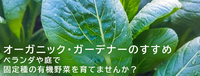 オーガニック・ガーデナーのすすめ　ベランダや庭で固定種の有機野菜を育てませんか？