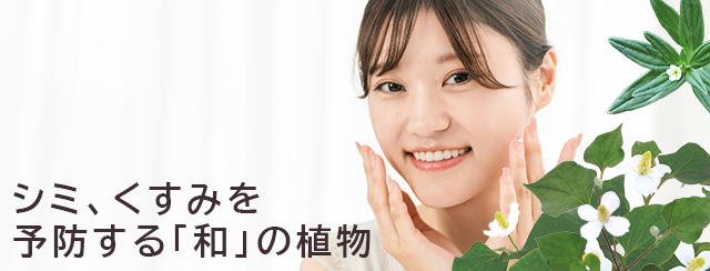 シミ、くすみを予防する「和」の植物