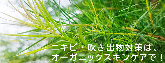 ニキビ・吹き出物対策は、オーガニックスキンケアで！