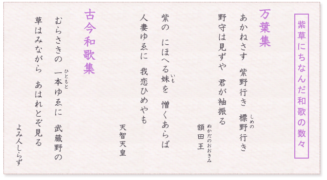 紫草にちなんだ和歌の数々
	万葉集　あかねさす　紫野行き　標野（しめの）行き
	野守は見ずや　君が袖振る　額田王（ぬかだのおおきみ）
	
	紫の　にほへる妹（いも）を憎くあらば
	人妻ゆゑに我恋ひめやも　天智天皇
	
	古今和歌集
	むらさきの　一本（ひともと）ゆゑに　武蔵野の
	草はみながら　あはれとぞ見る
	よみ人しらず
	