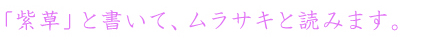 「紫草」と書いて、ムラサキと読みます。