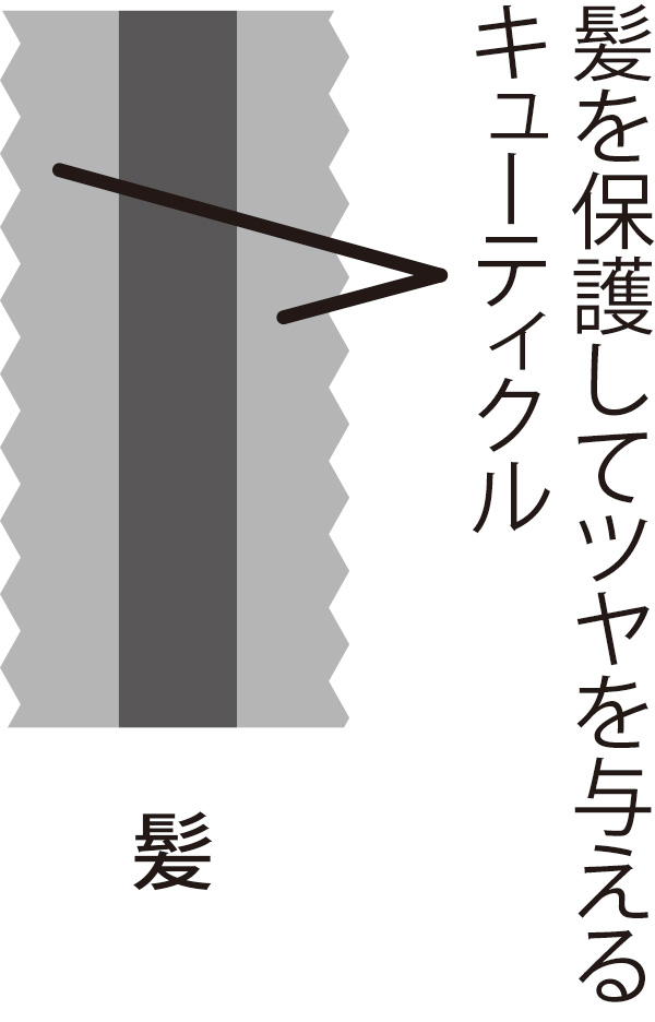 合成シャンプーによってキューティクルが溶かされ細い髪に！