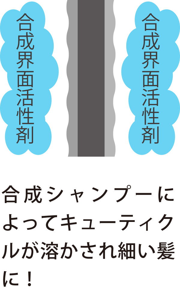 合成シャンプーによってキューティクルが溶かされ細い髪に！