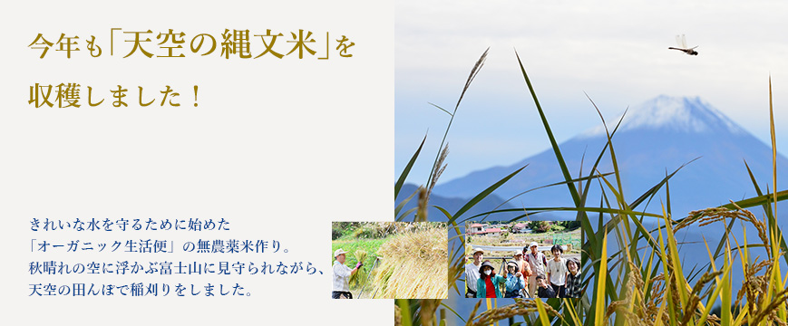 
今年も「天空の縄文米」を収穫しました！

きれいな水を守るために始めた「オーガニック生活便」の無農薬米作り。
秋晴れの空に浮かぶ富士山に見守られながら、
天空の田んぼで稲刈りをしました。


