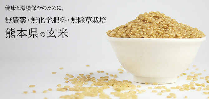 健康と環境保全のために、
無農薬・無化学肥料・無除草栽培
熊本県の玄米