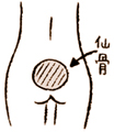 美肌と元気のもと「冷え」対策・大研究