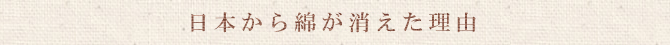 日本から綿が消えた理由