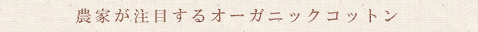 農家が注目するオーガニックコットン