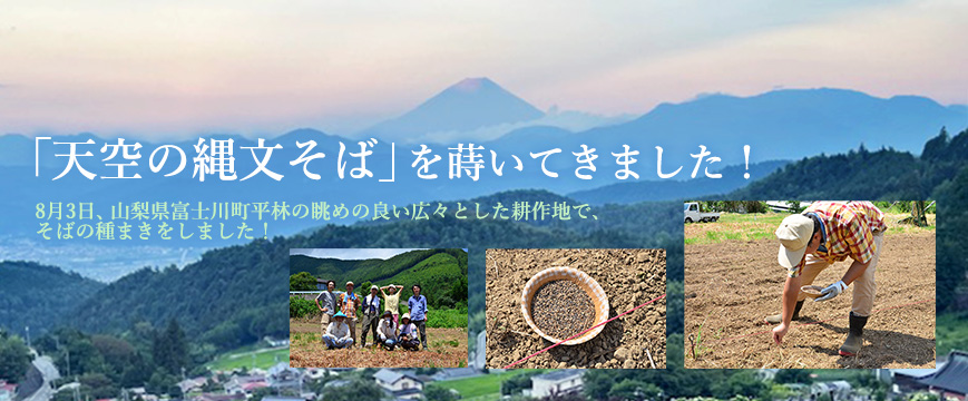 
「天空の縄文そば」を蒔いてきました！
８月4日、山梨県富士川町平林の眺めの良い広々とした耕作地で、そばの種まきをしました！

